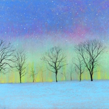 Northern Lights Treeline